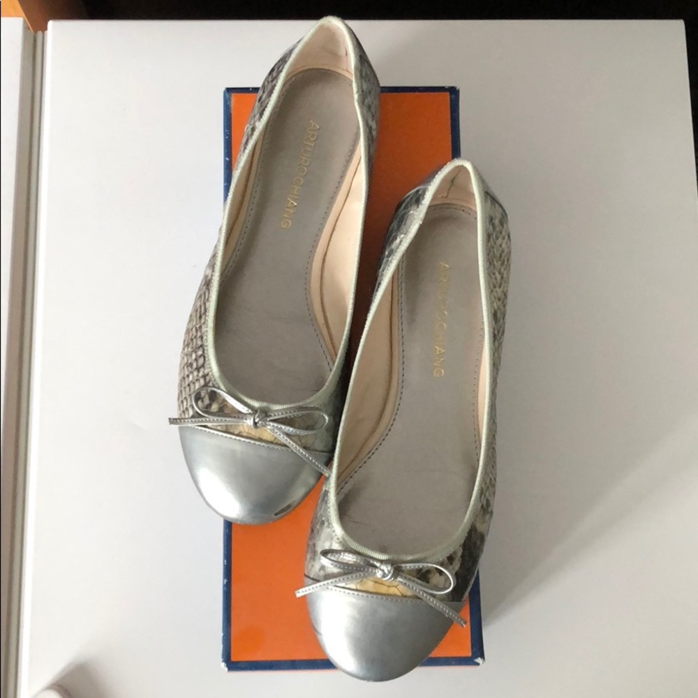 Arturo Chiang Flats Size 7